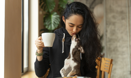 Как приучить собаку к pet-friendly заведениям: простые советы, которые сохранят нервы вам и любимцу
