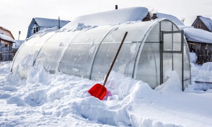 Дивовижний трюк для теплиці: всередині тепло навіть у люті морози