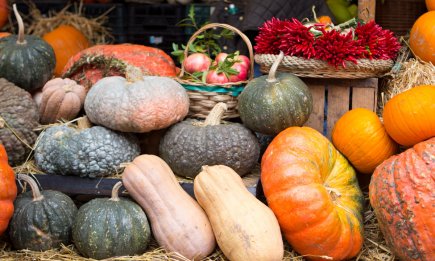 Вы не знали об этом: чем летняя тыква отличается от зимней