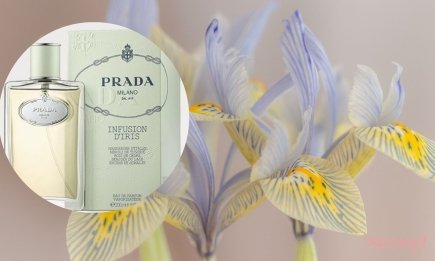 Аромат пудри, розкоші та витонченості: кращі парфуми з ірисом, які підкреслять ваш статус (ФОТО)