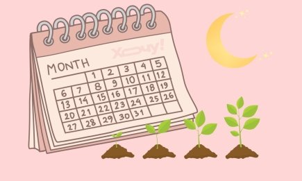 Не пропустіть найкращі дати: що і коли садити у лютому, щоб розсада гарно росла