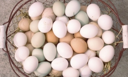 Пасха: как проверить качество яиц
