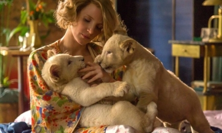 Что посмотреть в кино: "Жена смотрителя зоопарка" как реальная история в духе "Списка Шиндлера" и "Жизнь прекрасна"