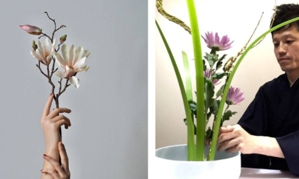 Очарование икебаны: как создать стильную композицию из растений