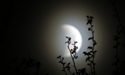 Лунное затмение 5 июля 2020: в чем опасность, что нельзя делать, приметы