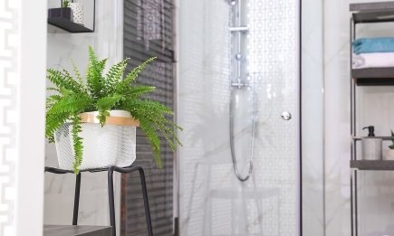 Естественный климат-контроль: 4 вазона, которые стоит поставить в ванной, чтобы убрать влагу