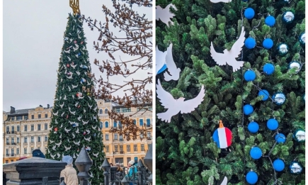 Петиция, генератор из Нидерландов и герб Украины: 8 интересных фактов о главной елке страны