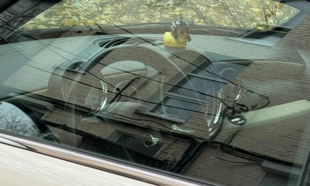 Зачем опытные водители возят в машине обычный картофель: реально работающий трюк (ВИДЕО)