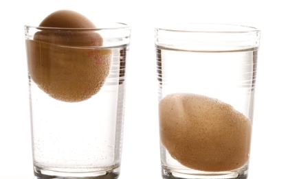Вам знадобиться лише склянка води: як перевірити свіжість яєць в домашніх умовах