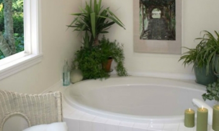 Как выбрать растения для ванной комнаты