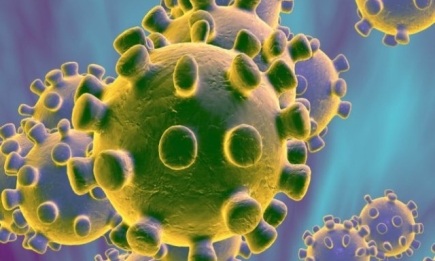 Новый коронавирус 2019-nCoV: ответы на самые распространенные вопросы