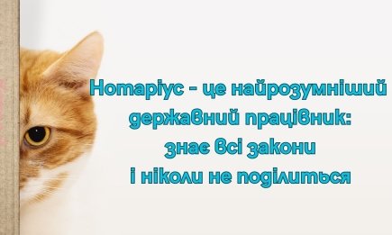 Не злите нотариуса, вам еще писать завещание: анекдоты и приколы ко Дню нотариата