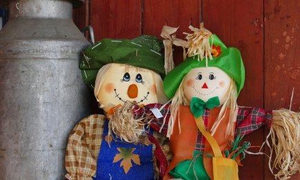 Старі шини, відра і навіть... унітаз! Що прикольного зробити восени на городі і не витратити ні копійки