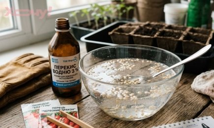 Секретний розчин для насіння: 5 хвилин у цьому засобі — і ваші помідори та огірки зійдуть лісом