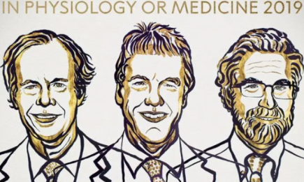 Нобелевская премия 2019. Кто стал лауреатами в области медицины и физиологии?