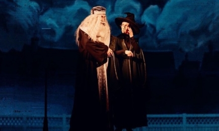 "Гарри Поттер и тайны Хогвартса": почему стоит пойти на мюзикл?