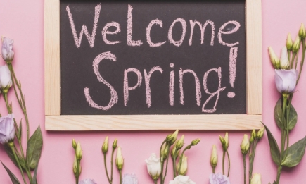 Прикольные и трогательные поздравления с первым днем весны в прозе: создаем весеннее настроение