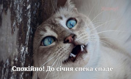 Наконец-то не будет жары – прощай, лето! Шутки, яркие картинки и пожелания