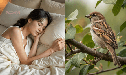 Наснився горобець? Ось кому час міняти роботу, а кого чекає переїзд