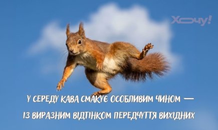 Маленька п'ятниця чи важкий екватор: кумедні приколи про середу, які змусять посміхнутися навіть найсумніших