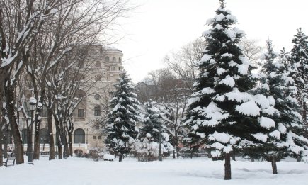 Какой будет зима 2025-2026 в Украине: синоптики прогнозируют резкие перепады температур и метели