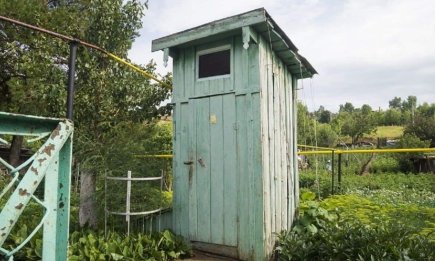 Сморід зникне за одну ніч: 7 простих способів зробити повітря в дачній вбиральні свіжим