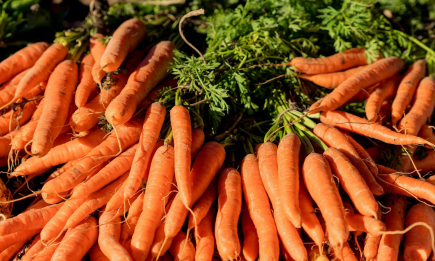 В холодильнике или нет: как на самом деле хранить морковь, чтобы оставалась твердой
