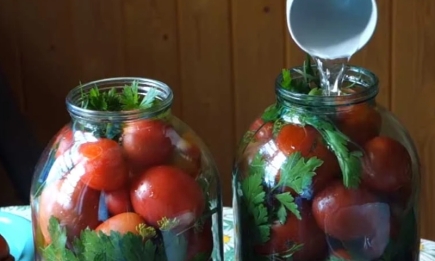 Хитроумные "холодные" помидоры: лучшая томатная заготовка на зиму (РЕЦЕПТ)
