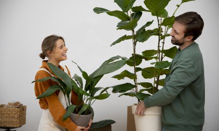 Поставьте эти растения, чтобы был полон дом любви: вазоны, которые привлекают счастье