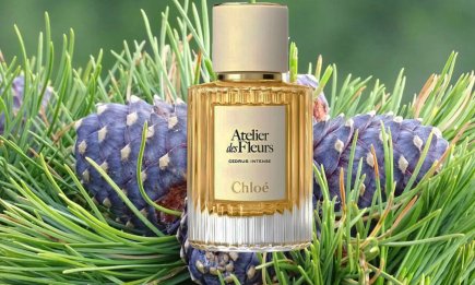 Магия дикого леса в каждой капле: новый аромат Chloé Cedrus, завоевывающий сердца женщин в 2026 году (ФОТО)