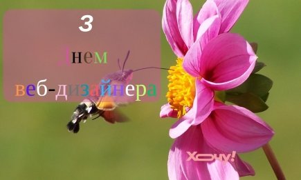 Привітання для веб-дизайнера: слова, що надихають на нові звершення та креативні картинки до свята