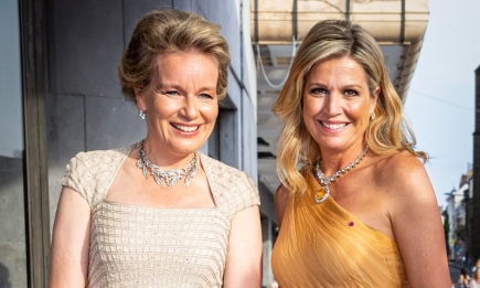 Две королевы - один образ. Какое платье выбирают Ее Величества Бельгии и Нидерландов (ФОТО)