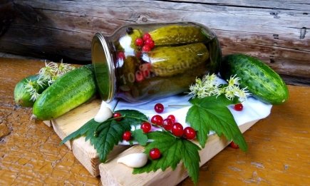 Чому в огірки на зиму обов'язково треба класти листя вишні та смородини?