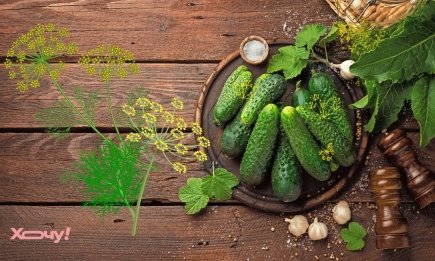 Забули про кріп, але вже все приготували? Чим його замінити при консервації огірків та помідорів