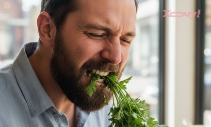 Не тратьте деньги на жвачки: названо единственное средство, которое действительно спасает от "амбре" после вечеринки