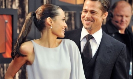 Биограф Анджелины Джоли и Брэда Питта назвал неожиданную причину их развода