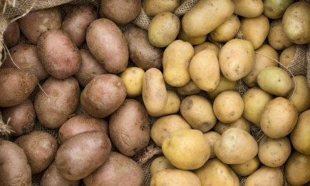 Груба помилка зберігання, через яку псують овочі: з чим не можна класти картоплю