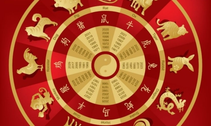 Китайський гороскоп на грудень 2023: що кого чекає у кінці року Кролика