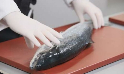 Как правильно разделывать лосося? Видео