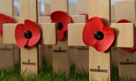 День памяти и примирения, посвященный погибшим во Второй мировой войне: что надо знать