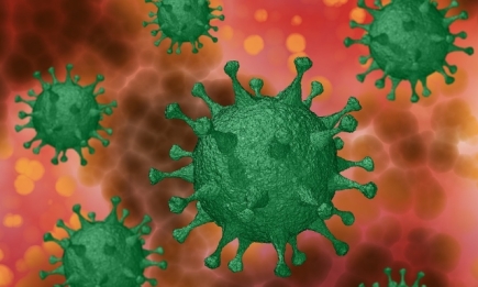 В Чехии зафиксирован новый штамм коронавируса