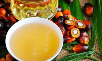 Осторожно, масло: польза и вред пальмового масла