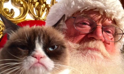 Знаменитые коты Интернета снялись в рождественском клипе