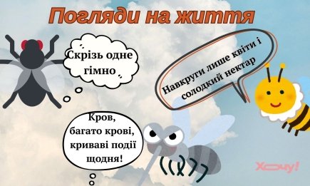 Если твоя жизнь – это ужасы, то стань главным монстром этого фильма: приколы о современности