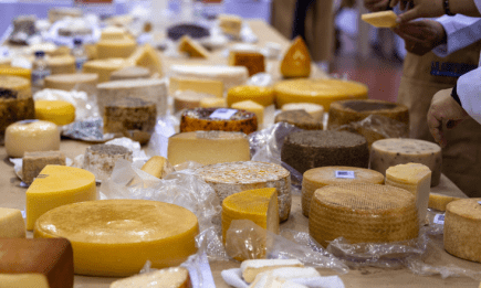 В Швейцарии 5 украинских сыров наградили "сырным Оскаром": какие продукты отметили