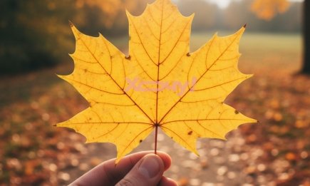 Найдите силу в ограничении: 10 аскез, делающих людей успешными и кардинально меняющих жизнь