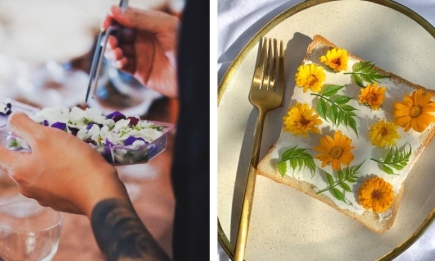 Вкусно и красиво: 5 съедобных цветов, которые можно использовать в кулинарии