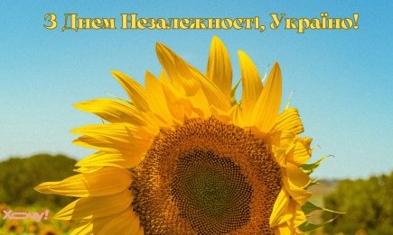 День Незалежності України 2026: найщиріші привітання та яскраві листівки з нагоди свята