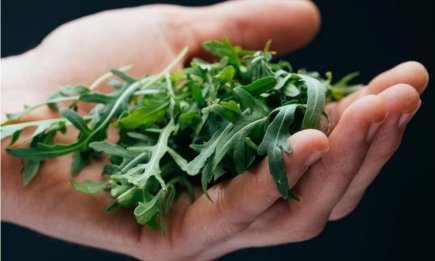 Рукола, як решето? 4 копійчані засоби, щоб вивести шкідників без хімії