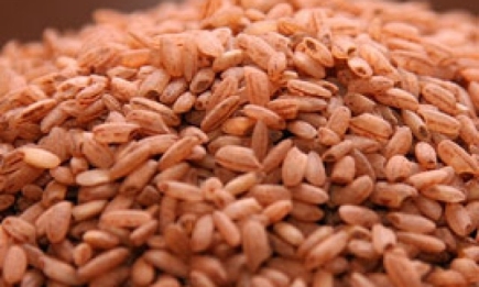 От полипов в кишечнике спасут коричневый рис и бобы